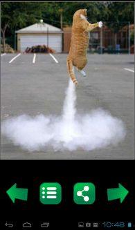 吃瓜娱乐图片搞笑版下载,图片下载，笑出腹肌！